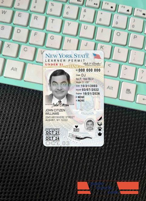 USA New York driving license under 21 (version 2) photolook FRONT PSD template
